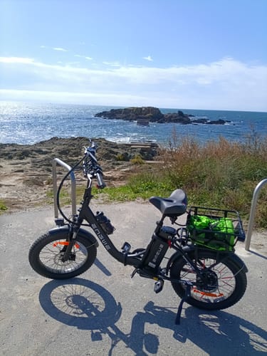 Customer photo review of Engwe L20 SE 250W 20" Foldable Electric Bike 561Wh Trekking Bike Step-through E-bike 36V 15.6Ah Battery
