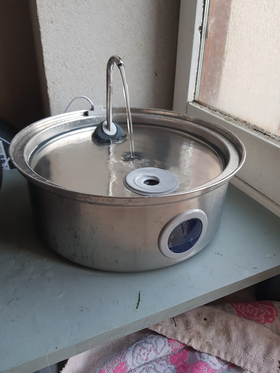Customer photo review of Oneisall 7L Pet Water Fountain with Visual Water Level & 3 Filters