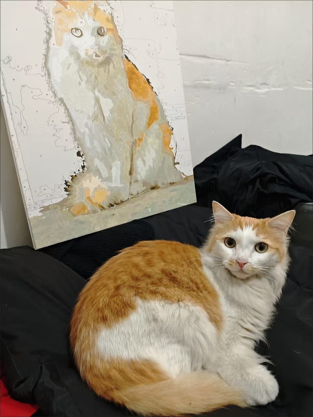 Customer photo review of Custom Pet Portrait – Paint by Numbers