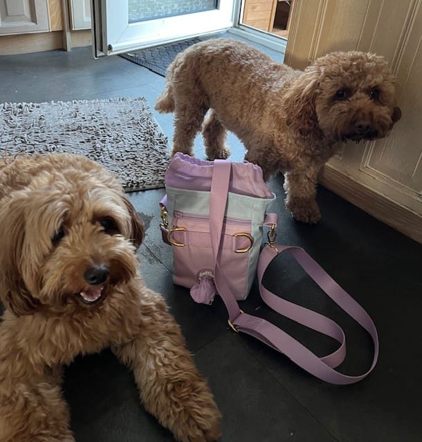 Customer photo review of Treat Pouch