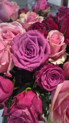 Customer photo review of All The Ways We Bloom