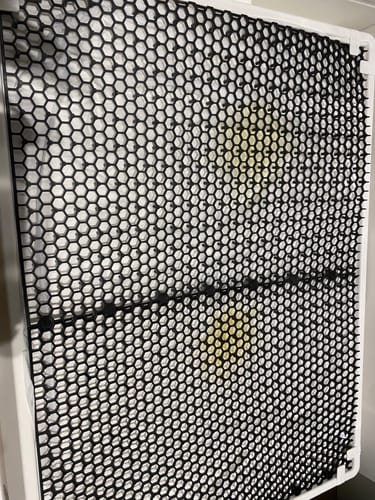 Customer photo review of Weasy Cão | Banheiro inteligente para cachorro