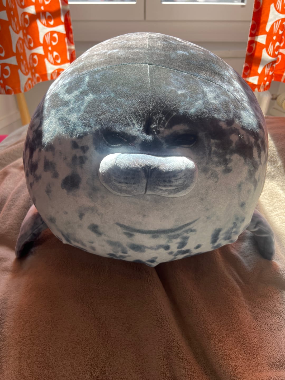 Customer photo review of Yuki-Chan Plushie "Japan's Roundest Seal" - XL (Extra Chonky)