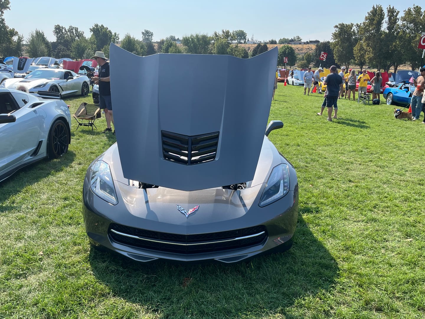Customer photo review of Corvette C7 Base Model Z06 Conversion Hood Vent