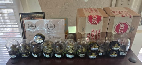 Customer photo review of Freebie HCG - 3.5g Party Bowl