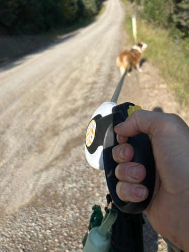 Customer photo review of FIDA AutoBrake Leash