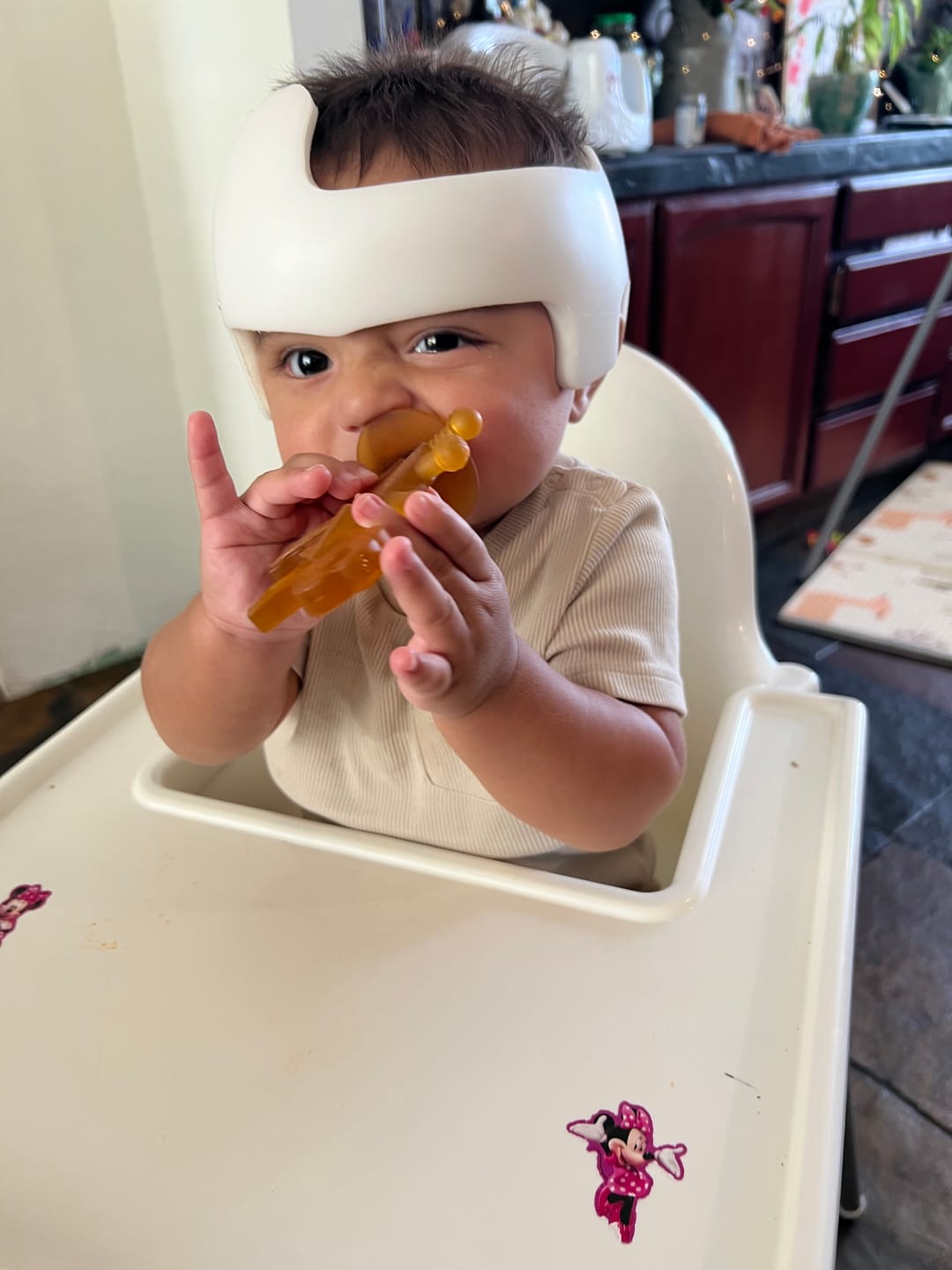 Customer photo review of Dibly Amber - Baltic Amber & Natural Rubber Dinosaur Teether with Toothbrush Tail