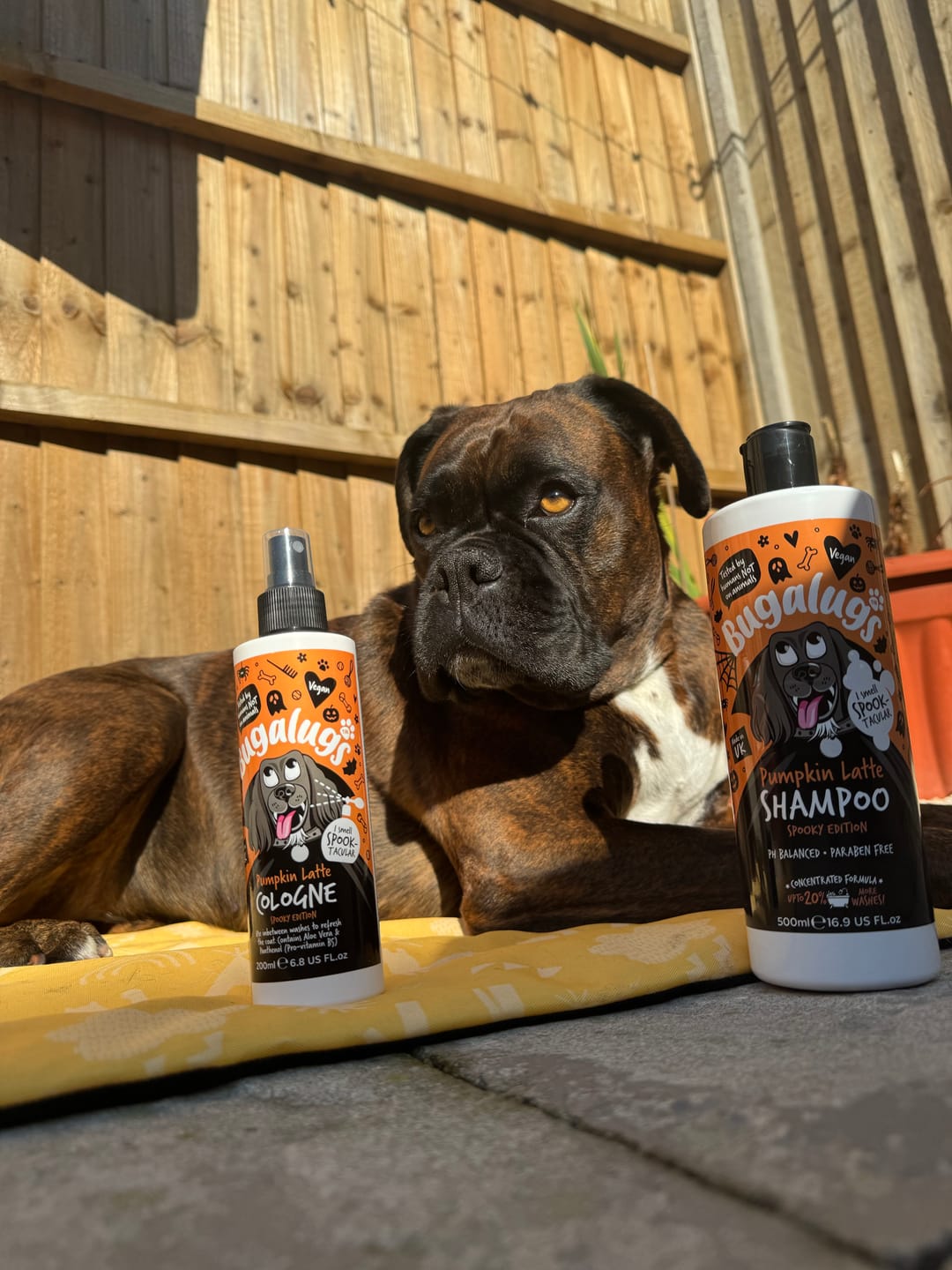 Customer photo review of Spooky Edition: Pumpkin Latte Bundle (Shampoo + Cologne)