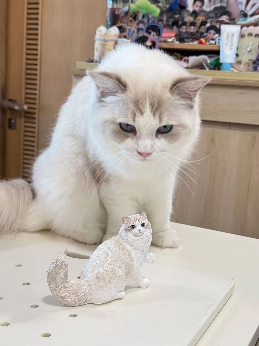 Customer photo review of Custom Pet  Figurine