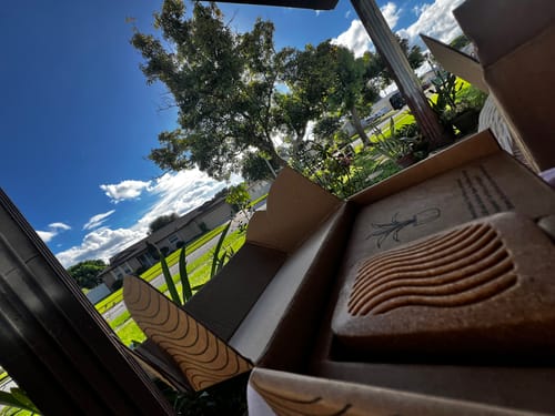 Customer photo review of PlantWave