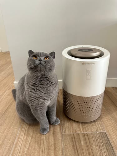 Customer photo review of Pet Air Purifier