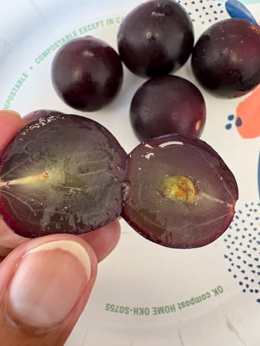 Customer photo review of Grapes With Seed (Muscadine Red/Green)