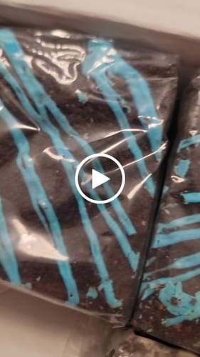 Customer video review of COOKIE MONSTER 4-Pack - August Flavor of the Month