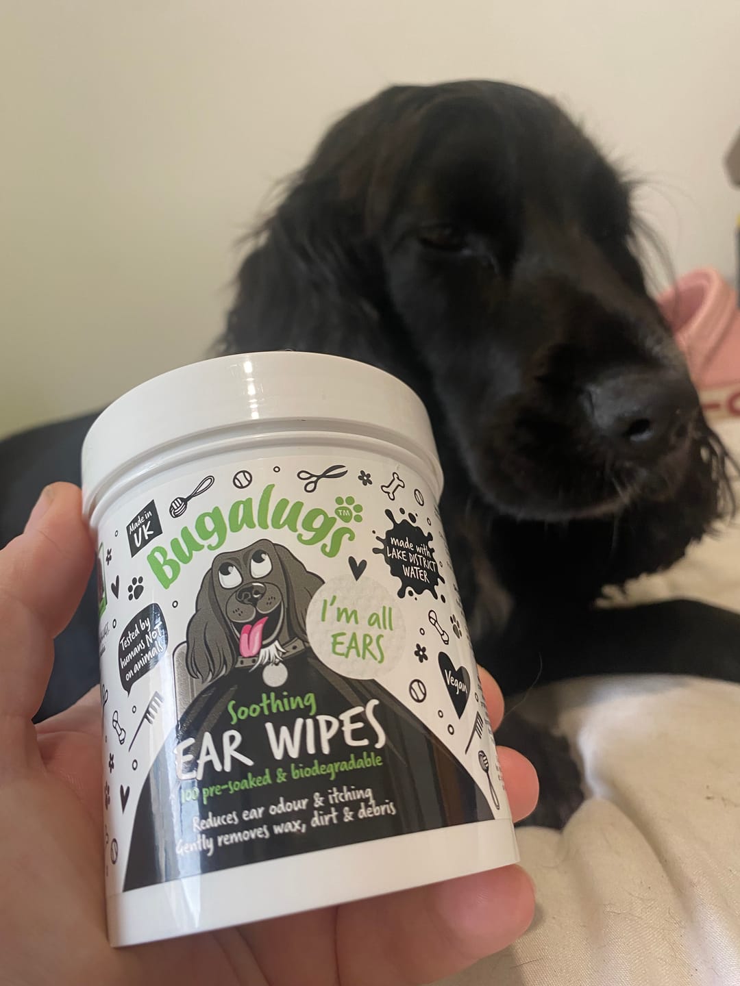 Customer photo review of Soothing Ear Wipes for Dogs 100 Pre-soaked & Biodegradable Wipes