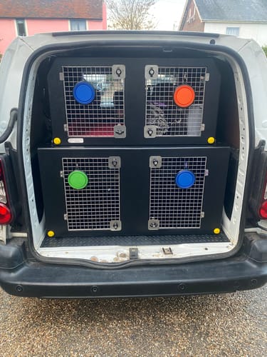 Customer photo review of Dog Van Kit | Citroën Berlingo | 2008-Present | Double stack | DT VS1
