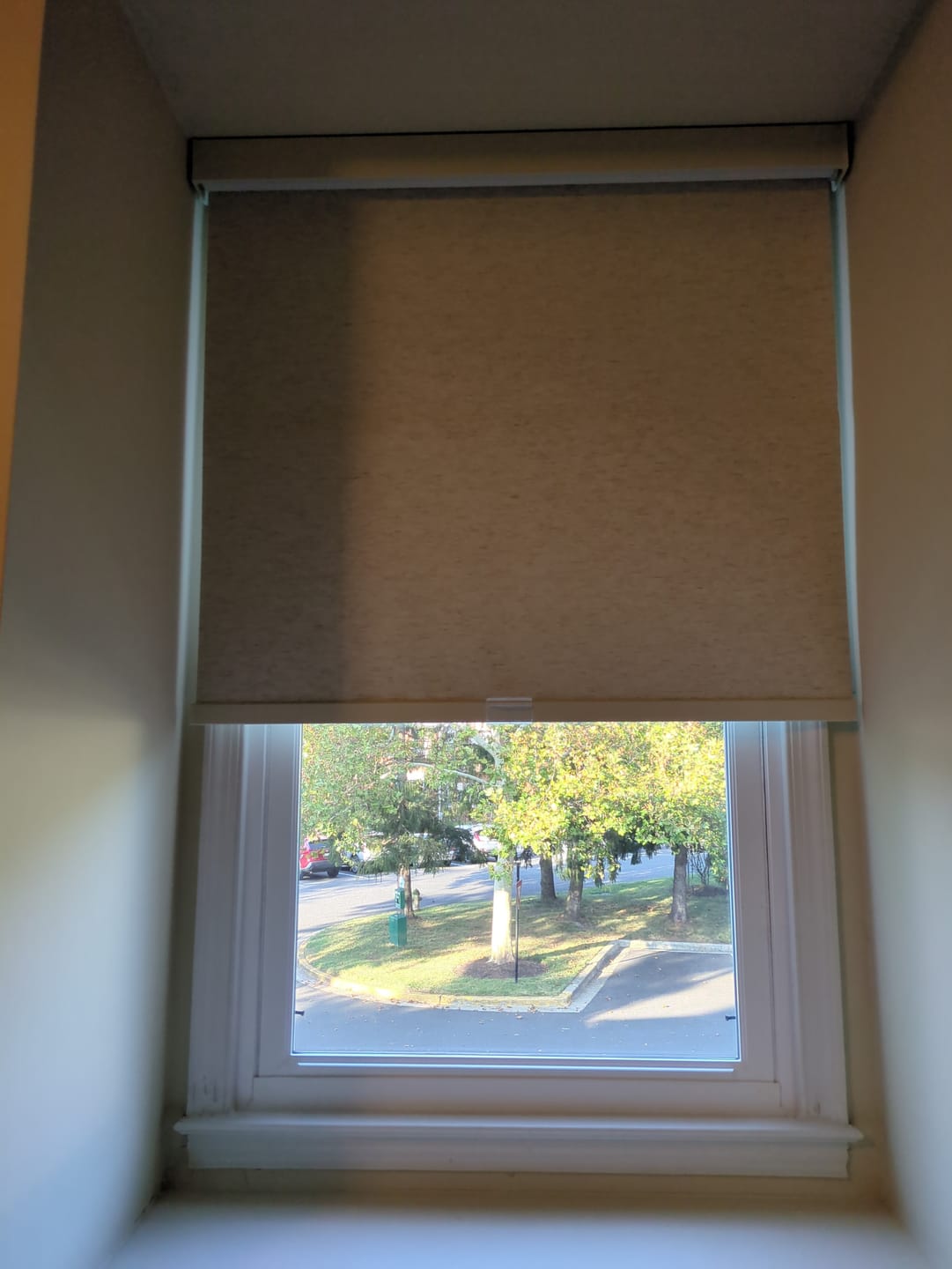 Customer photo review of Ready Made Blackout Cordless Roller Shades