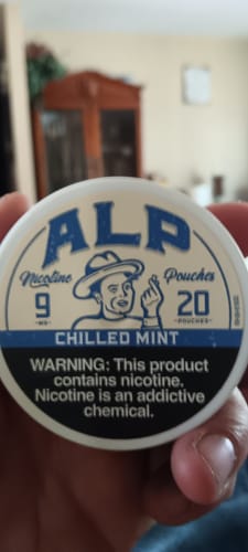 Customer photo review of Chilled Mint Nicotine Pouches