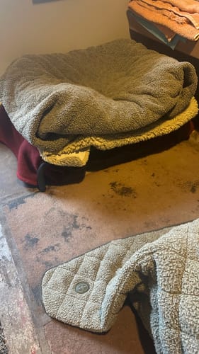 Mrs N. review of HiK9 Bed with Olive Mesh Cover image 1 out of 1