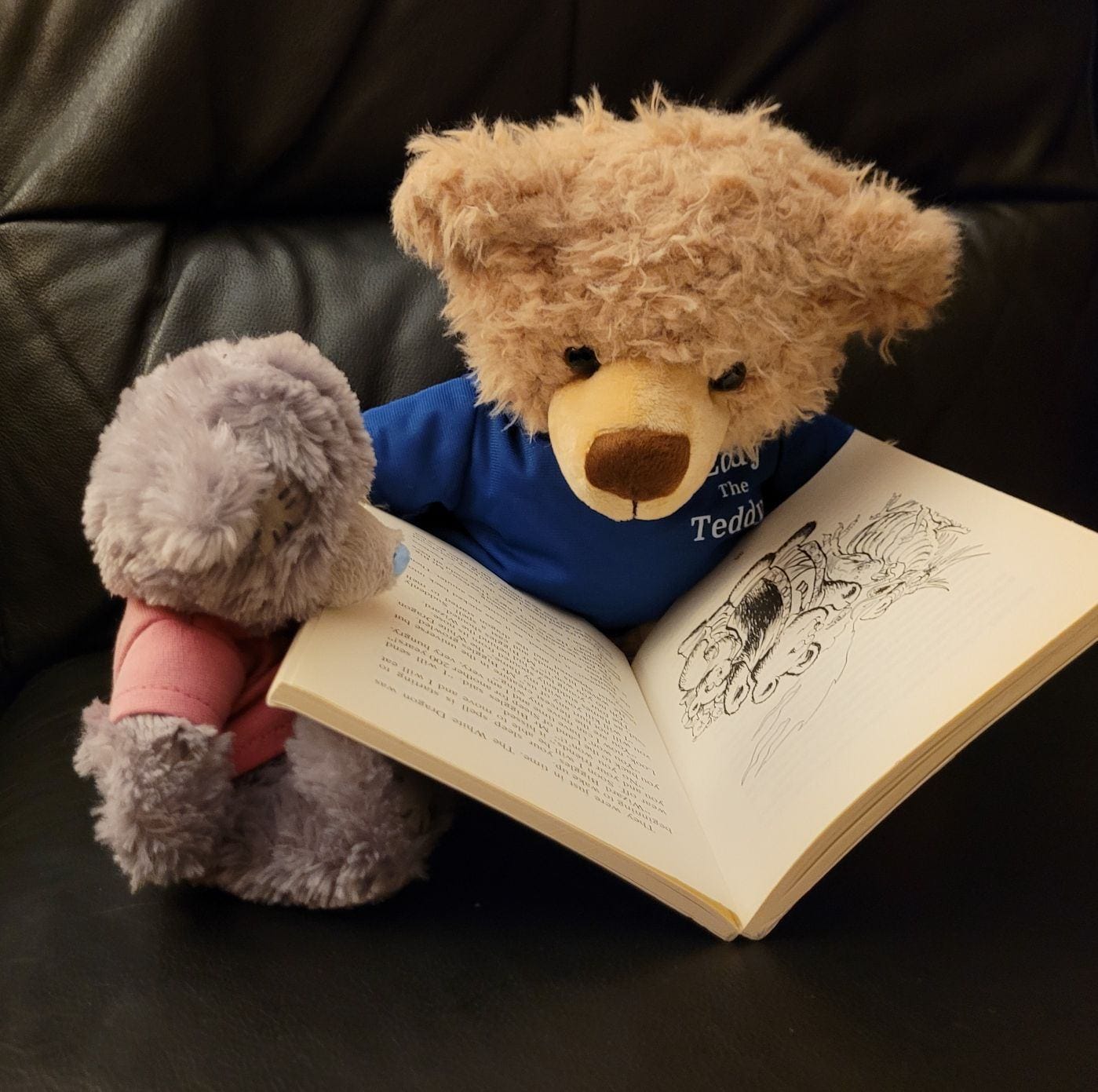 Customer photo review of Eddy The Teddy Bear