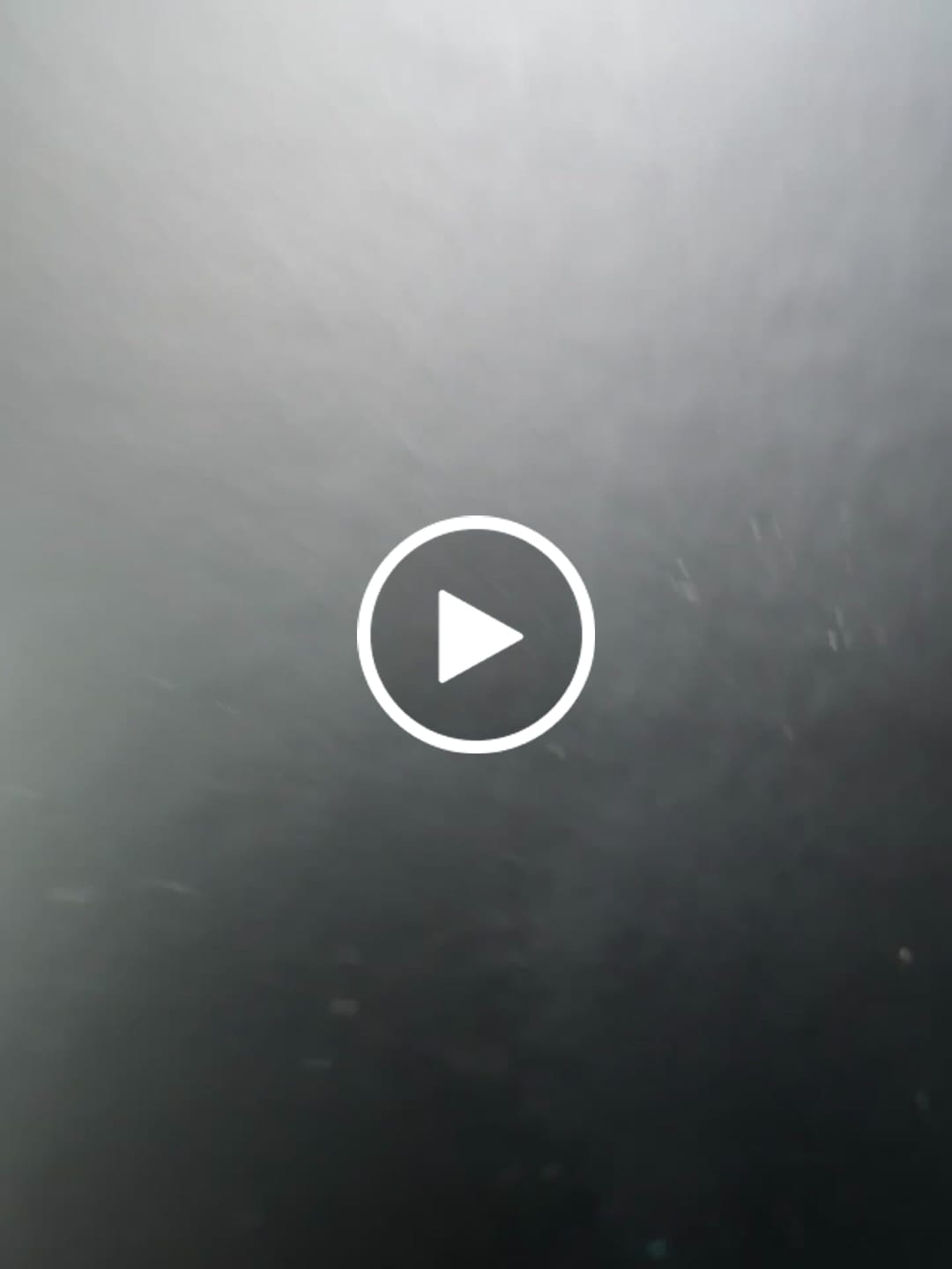 Customer video review of Double Heart Necklace