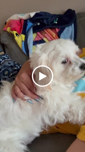 Customer video review of DA-1™ Daily All-in-One Complete Care