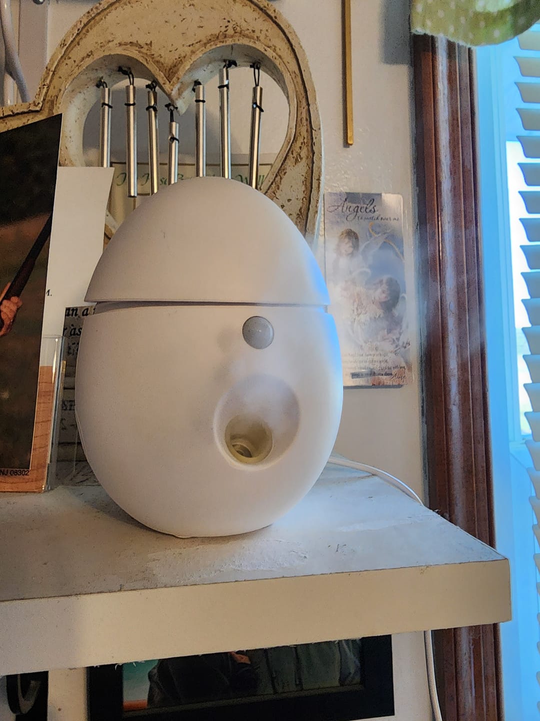 Customer photo review of AIRBURST: Waterless Aromatherapy, Essential Oil & Fragrance Diffuser!