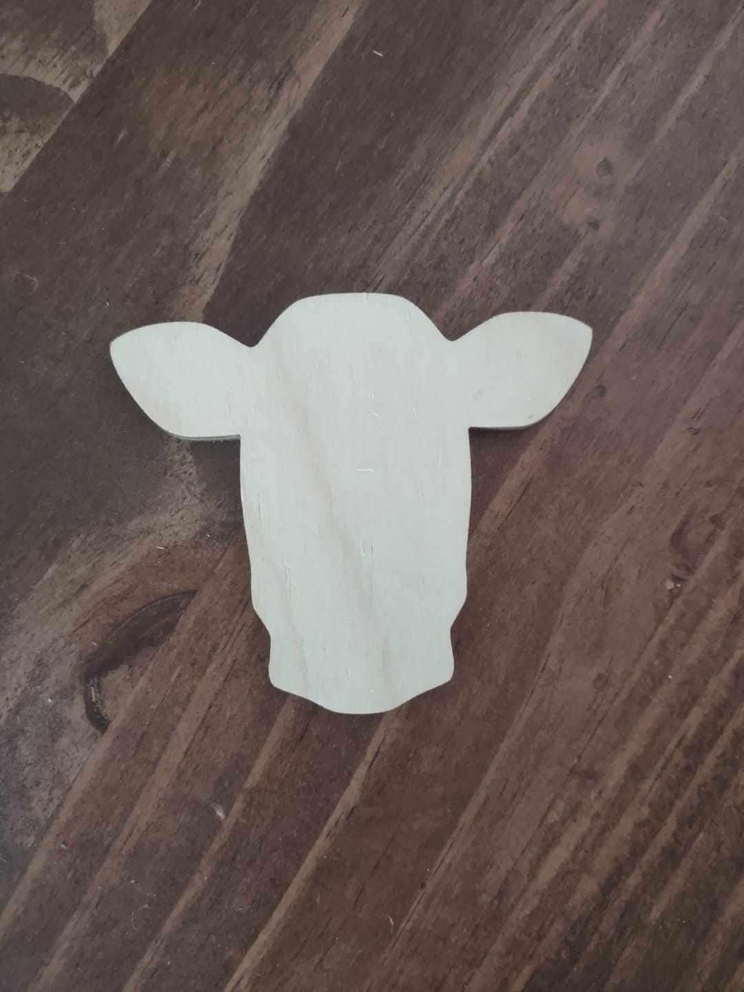 Customer photo review of Unfinished Wood Dairy Cow Shape - Craft - up to 46" DIY