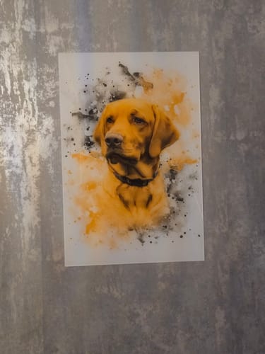 Lesley T. review of Your Pet as Watercolor Portrait image 1 out of 4