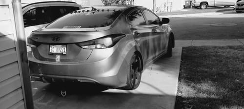 Customer photo review of Tsurikawa Train Handle Glow-in-the-dark Cat