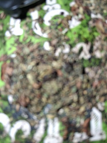 Customer photo review of Exotic Shake