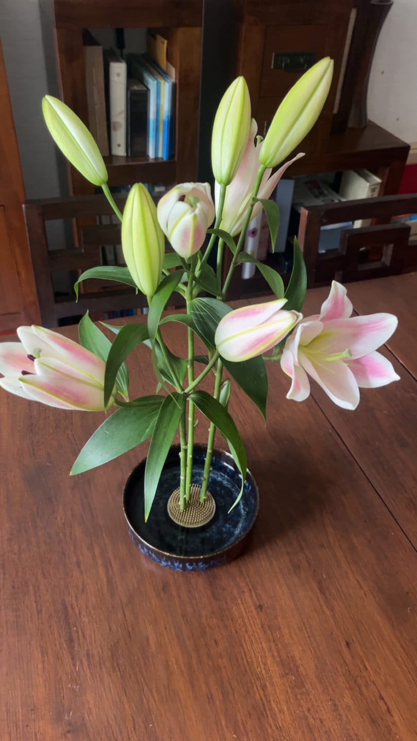 Customer photo review of Kenzan 70 mm Flower Frog