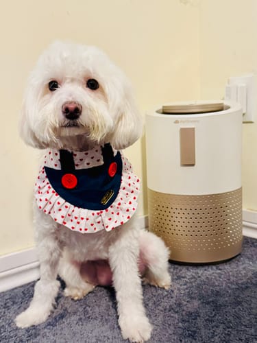 Customer photo review of Pet Air Purifier