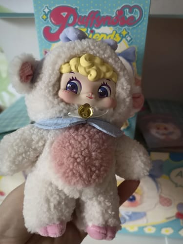 Customer photo review of Puffynose Friends Memo Series Plush Blind Box