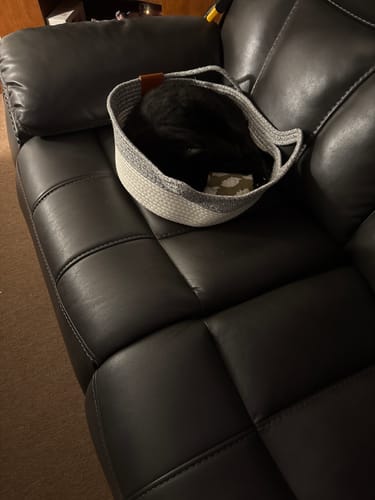 Customer photo review of Instinct Basket | Handwoven & Chemical-Free Cat Territory