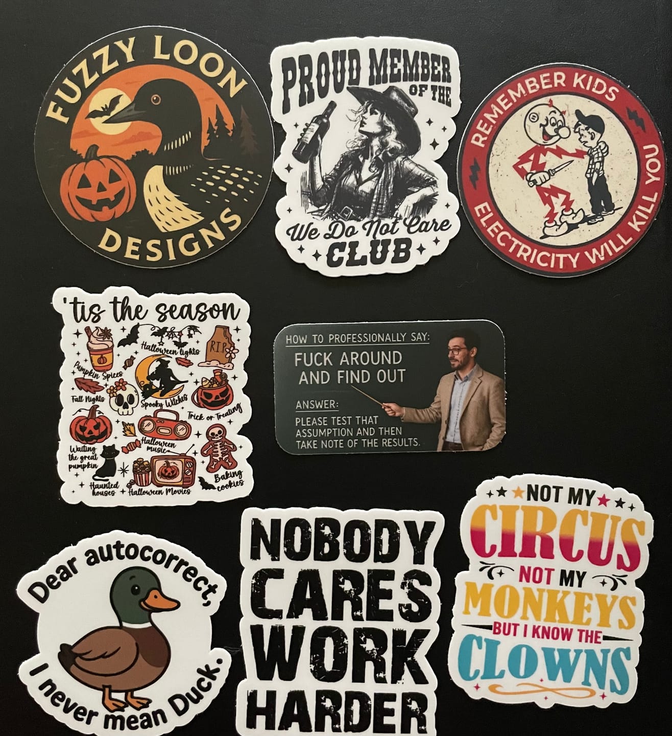 Customer photo review of STICKER CLUB | Monthly Sticker Subscription
