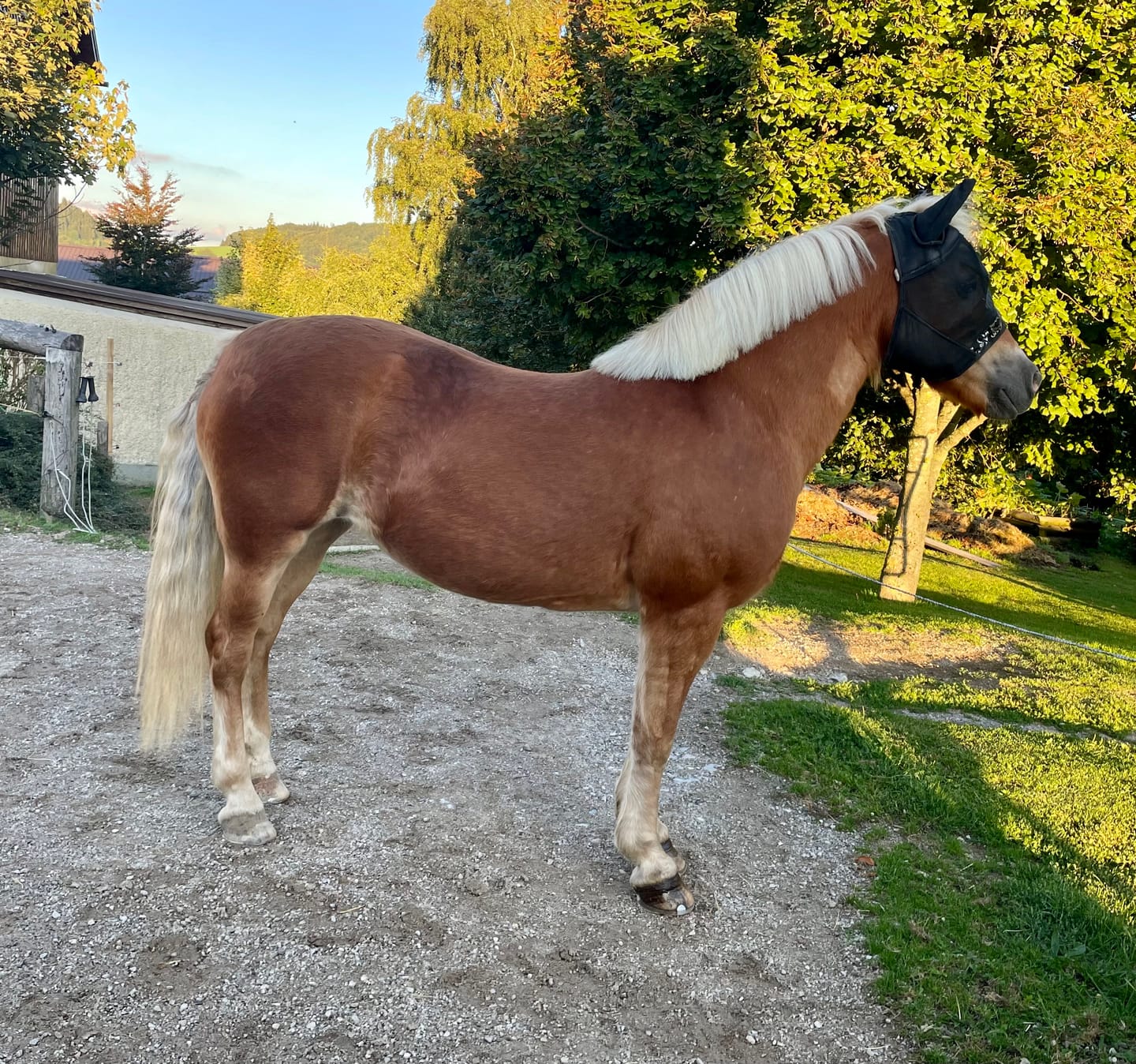 Customer photo review of Kristallkraft No2