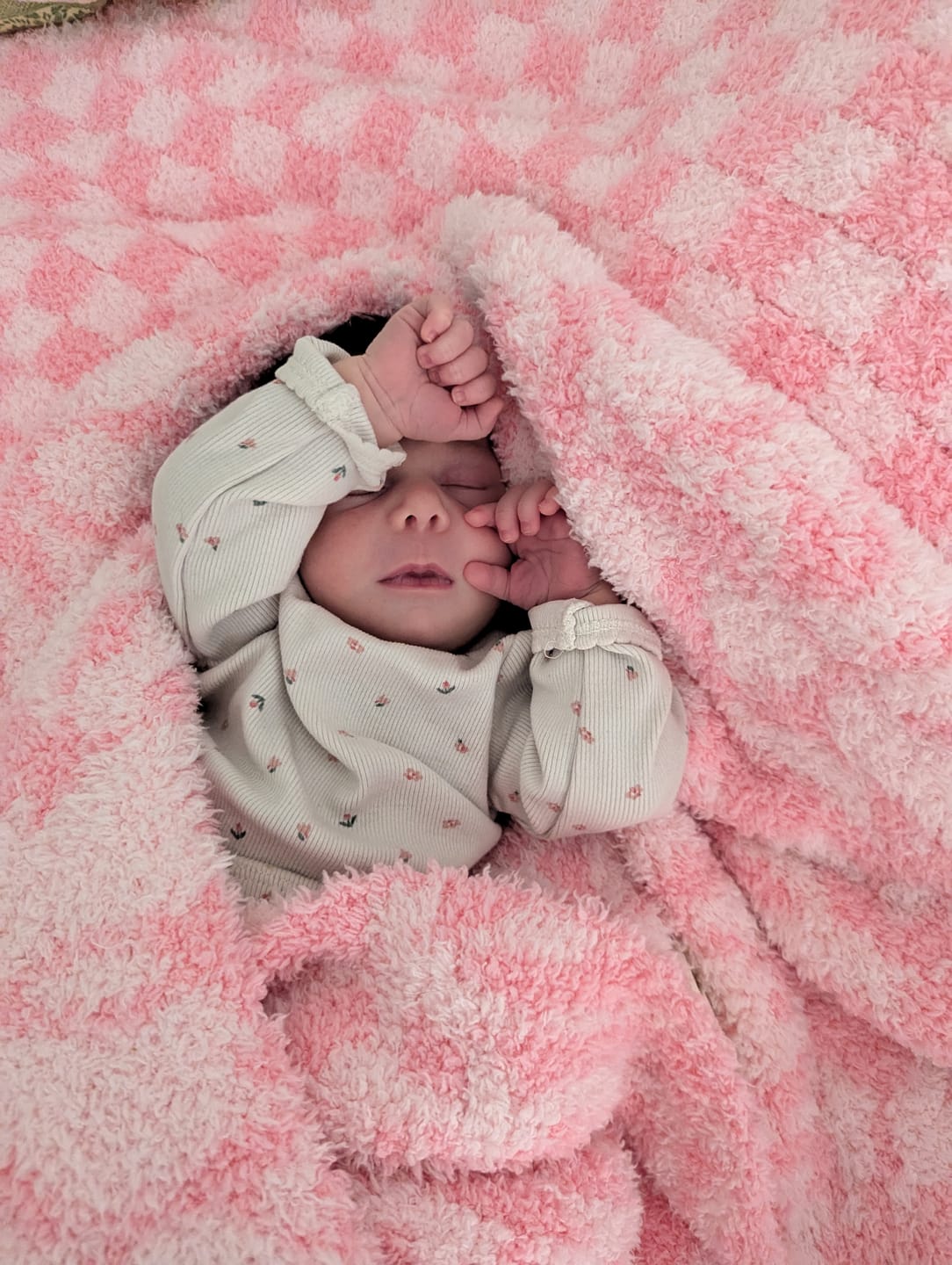 Customer photo review of Cotton Candy Fairy Garden Print Toddler Blanket