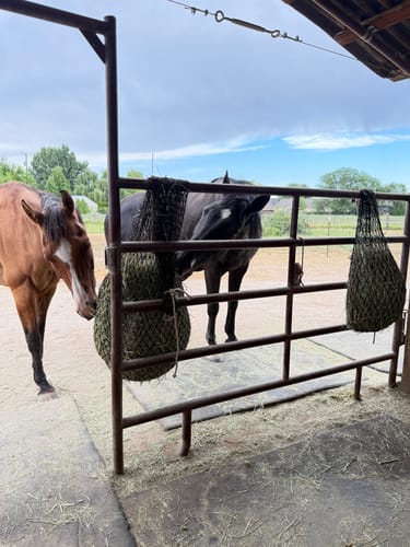 Customer photo review of Hay Chix® 2-Strand Bale Net (Small Bale Net)