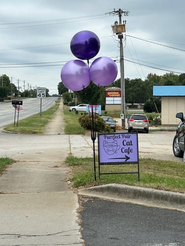 Customer photo review of Purple DuraBalloon®