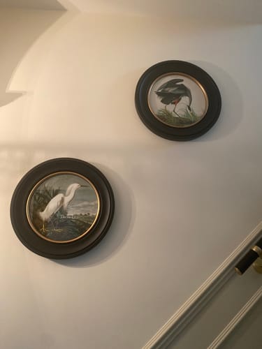 Customer photo review of C.1838 Audubon's Herons - Round Frame