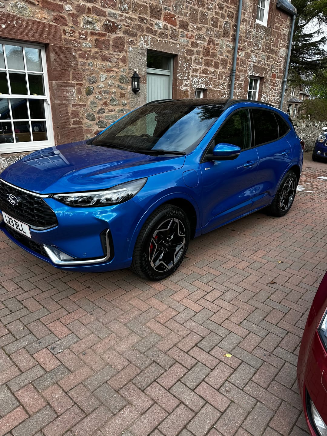 Customer photo review of The Apex Extreme Kit
