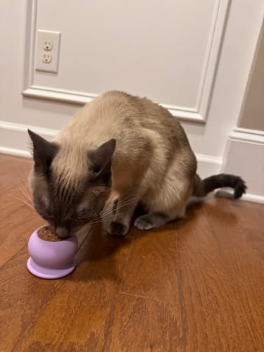 Photo from Amanda W.'s review of FreezPounce