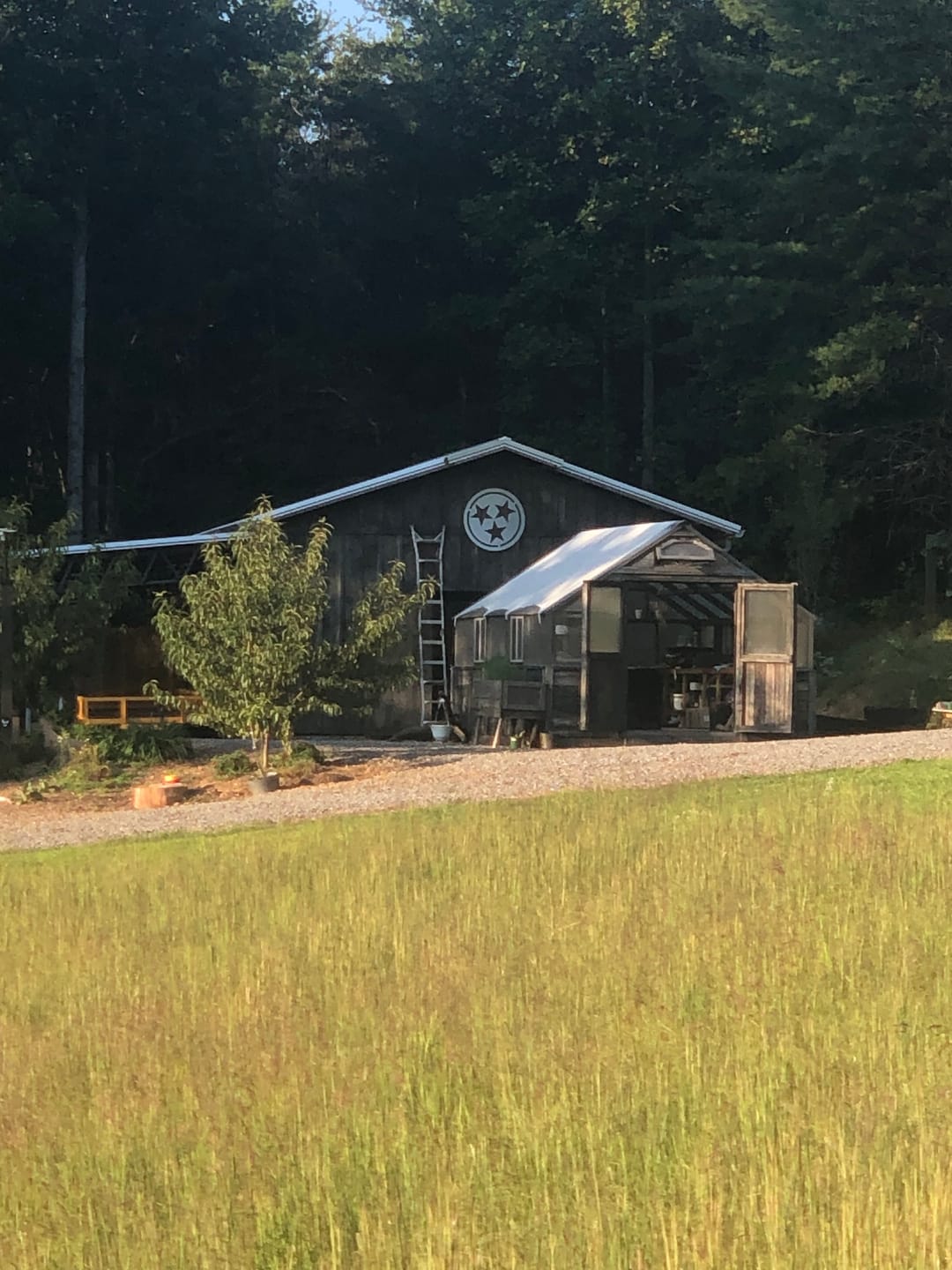 Customer photo review of Tennessee Tristar Metal Wall Art – Rustic State Flag Stars – Indoor/Outdoor Sign
