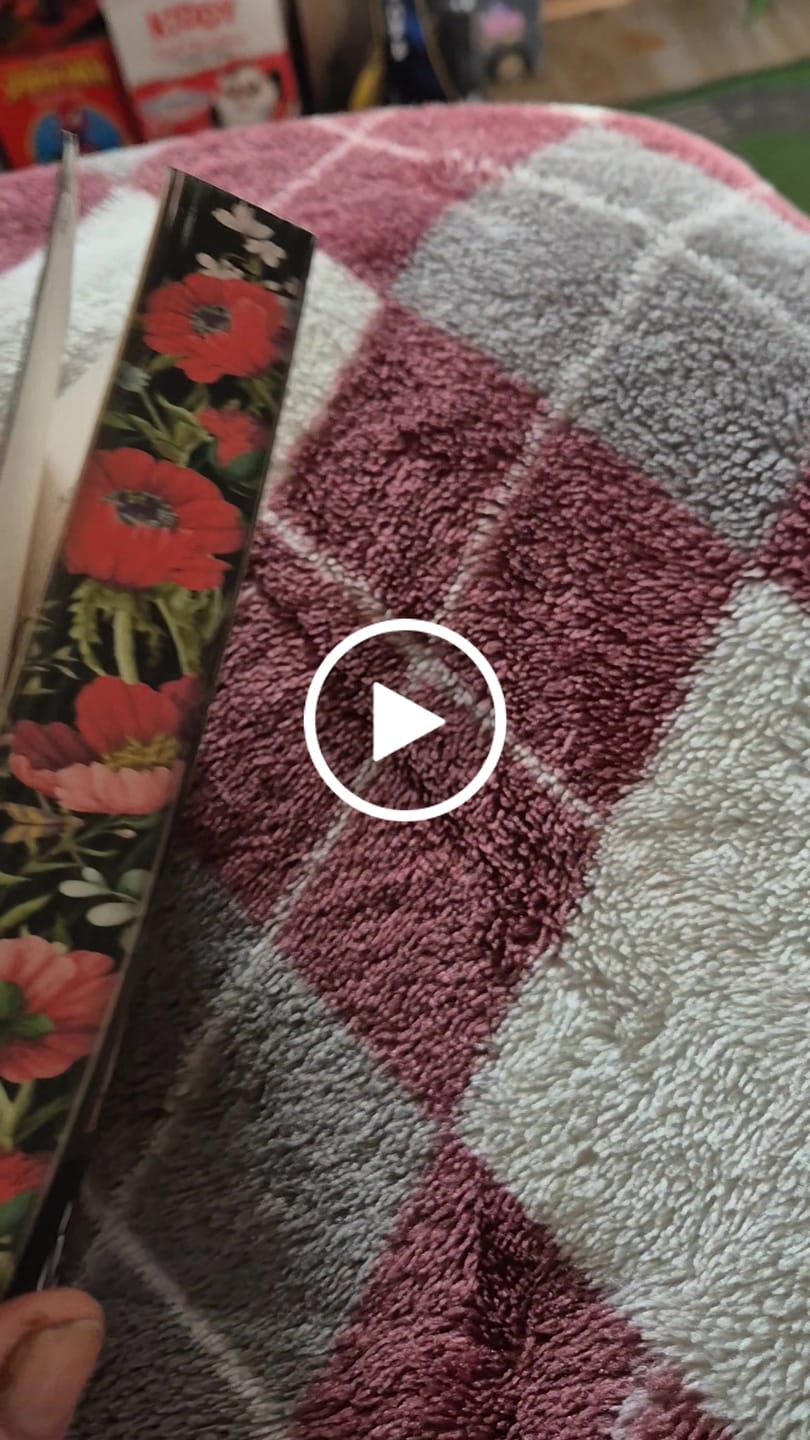 Customer video review of Gražuolė ir pabaisa: tarp kaltės ir nevaldomos traukos