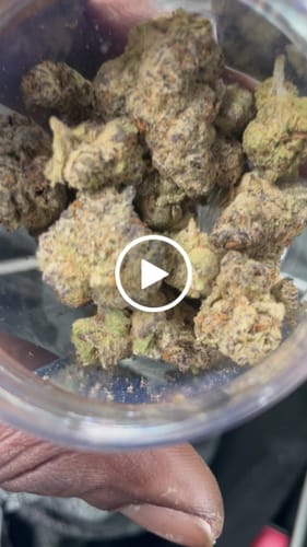 Customer video review of 9 LB Hammer Exotic THCA Flower