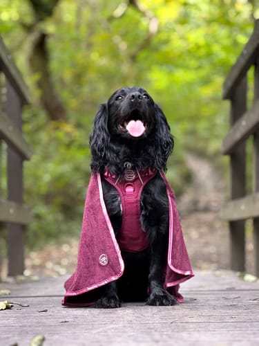 Customer photo review of Microfibre Towel - Walkies Ready® Mulberry