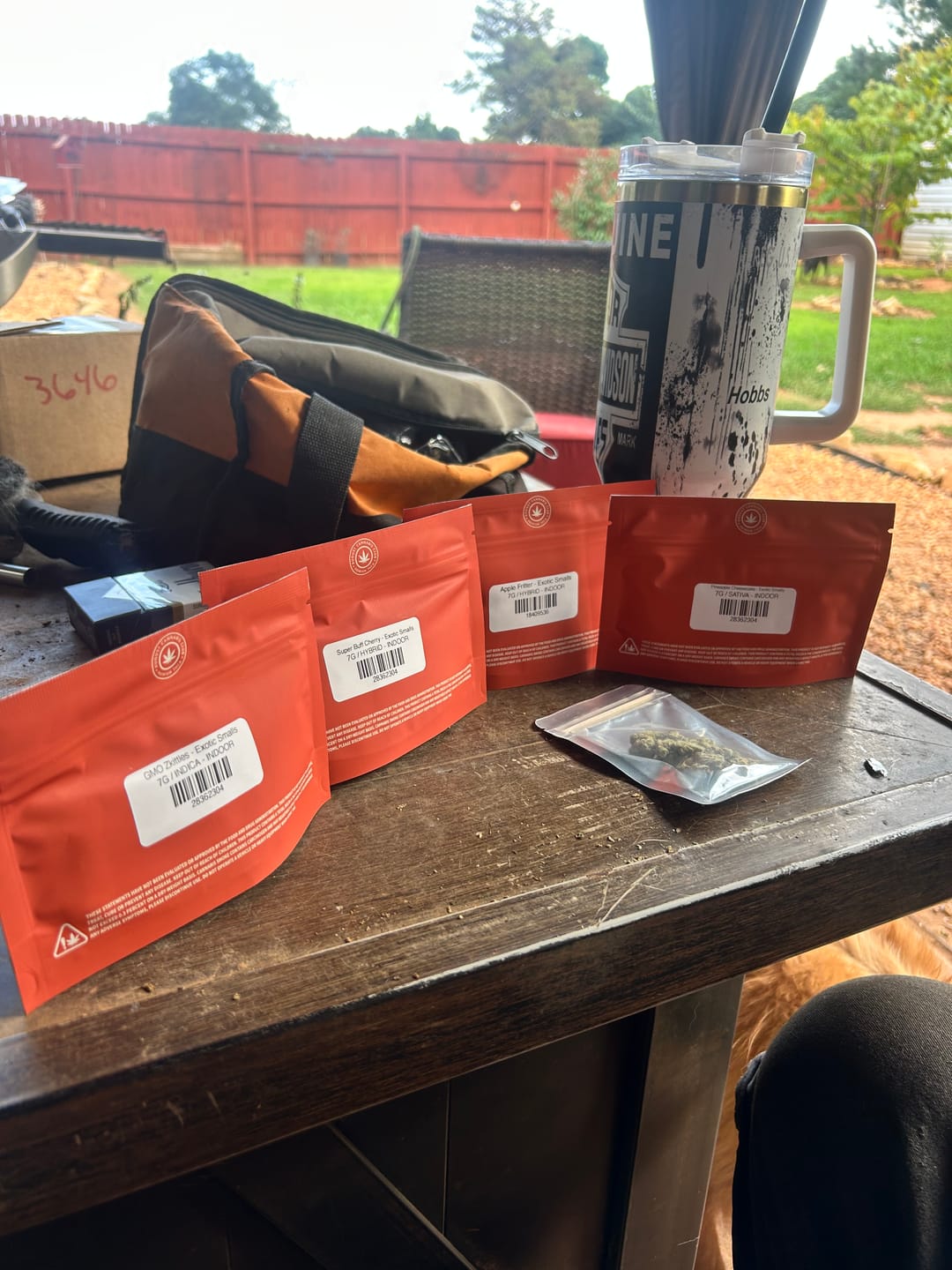 Customer photo review of Sunrise to Sunset Exotic Smalls Bundle