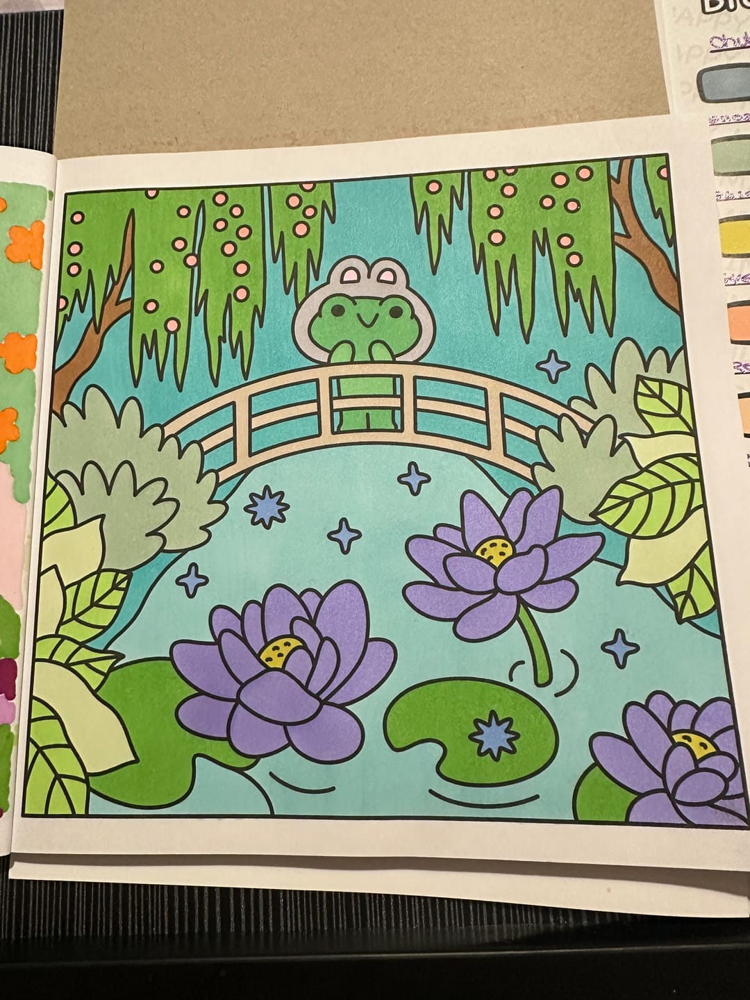 Customer photo review of Ohuhu Honolulu Brush Markers - Small Set
