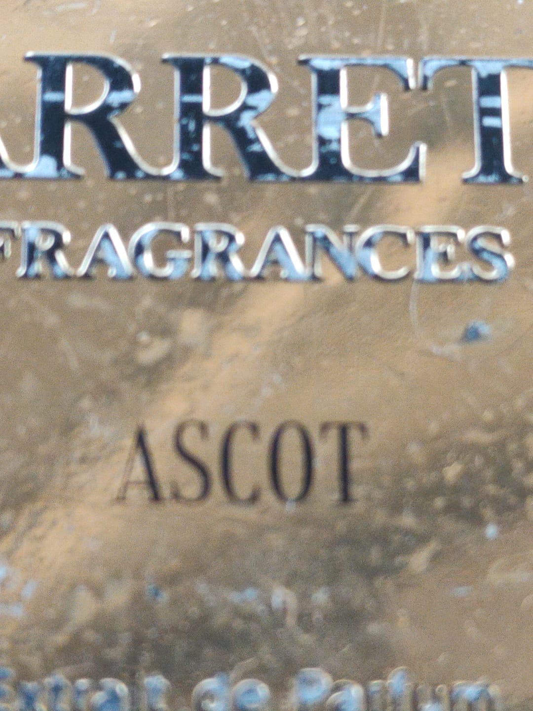 Customer photo review of Ascot inspired by Erolfa