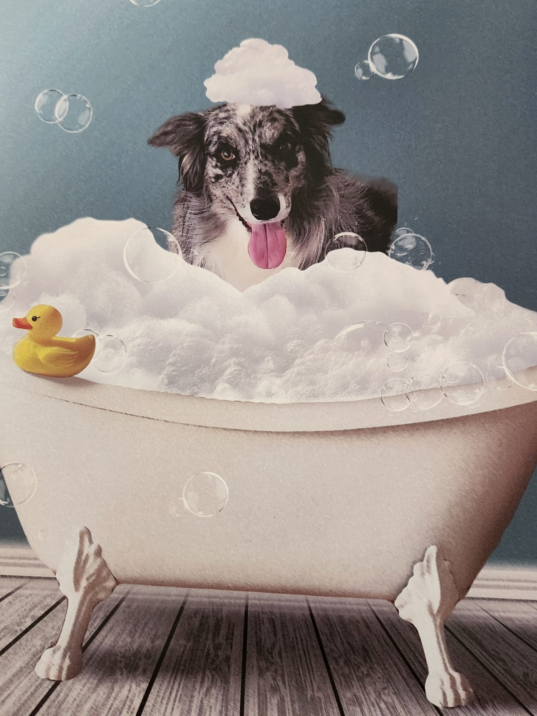 Customer photo review of Fun in the tub - Personalized Poster